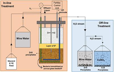 Removal of Zinc From Circum-Neutral pH Mine-Impacted Waters Using a Novel “Hybrid” Low pH Sulfidogenic Bioreactor